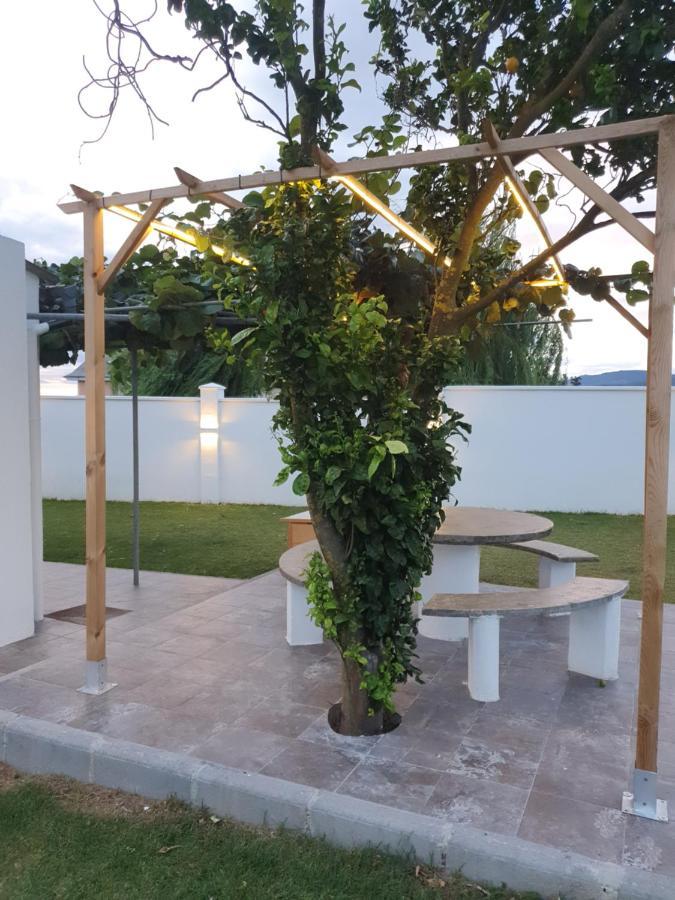 Casa Flor Delfin Ribadeo Villa Dış mekan fotoğraf